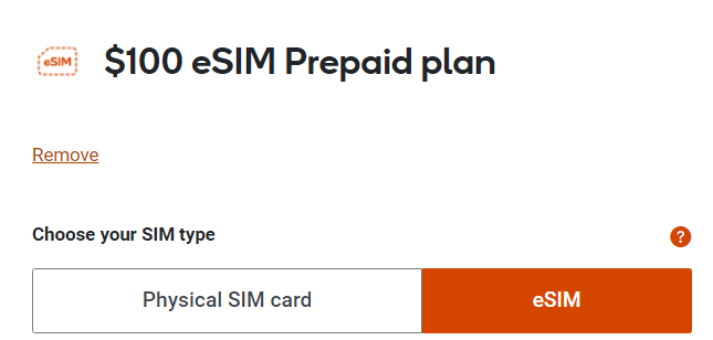 「Physical SIM card」or「eSIM」の選択画面